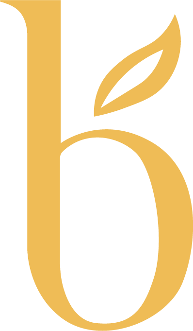 Boutich Logo